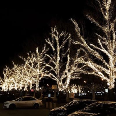 Светодиодная Ветвь 0,5м Тепло-Белая 24В, 52 LED, Провод Черный ПВХ, IP54, Комплект 3шт