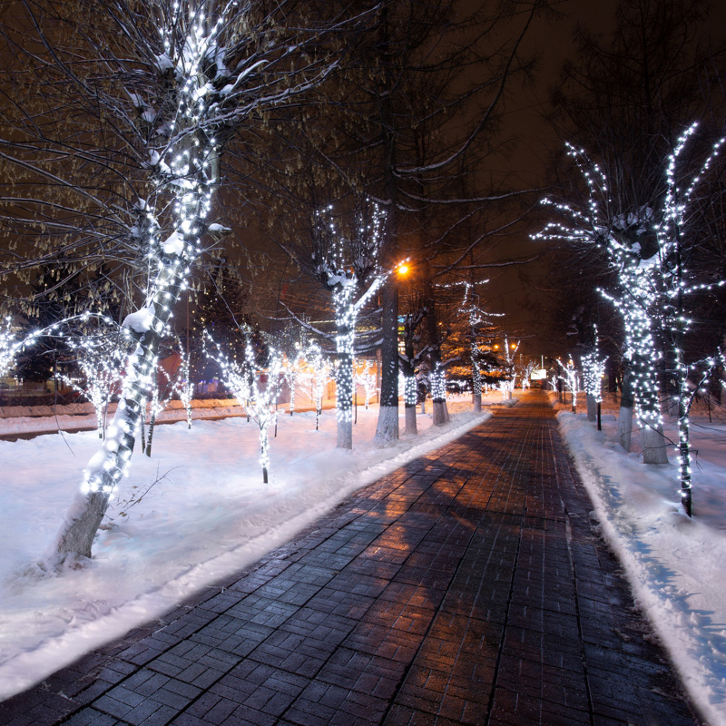 Качественная картинка Гирлянда NEON-NIGHT Клип-лайт 12 V, прозрачный ПВХ, 150 мм, Белый мерцание