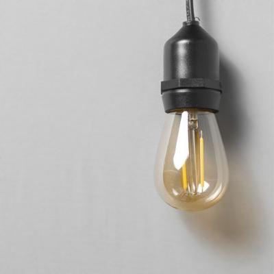 Лампа Филаментная Лофт Laitcom Ø45 мм, H60 мм, 220В, Цоколь E27, 2 Вт, Золотисто-Коричневая