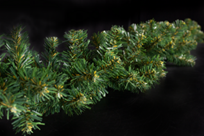 Гирлянда хвойная Уральская Teamprof, диаметр 20 см, длина 270 см, количество веток 220 шт