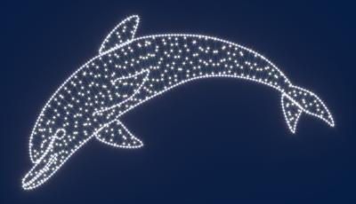 Изображение Светодиодная консоль Дельфин №1 RichLed