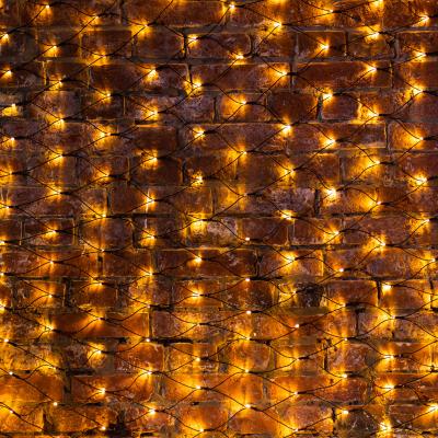 Cветодиодная cеть NEON-NIGHT 2х1,5м ТЕПЛЫЙ БЕЛЫЙ черный ПВХ IP65 динамика