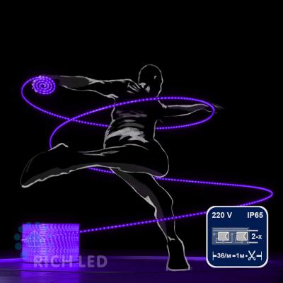 Дюралайт 2-х проводной RichLed, постоянное свечение, цвет фиолетовый