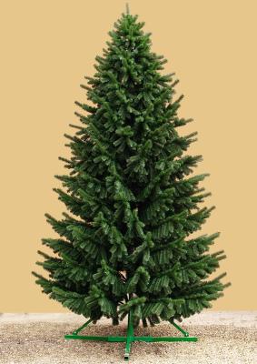 Ель Лесная 250 см.